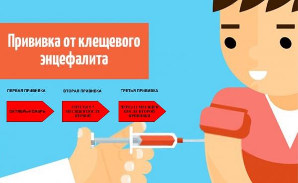 Март – время задуматься о вакцинации против клещевого энцефалита, напоминают в центре медицинской профилактики Златоуста