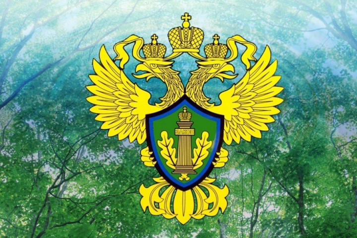 Юные златоустовцы могут побороться за получение Международной премии «Экология – дело каждого»